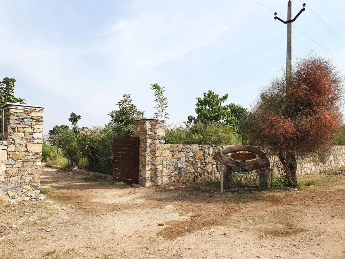 Bijapur Lodge Jawai Экстерьер фото