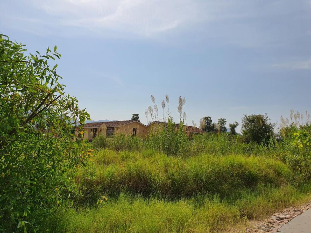 Bijapur Lodge Jawai Экстерьер фото