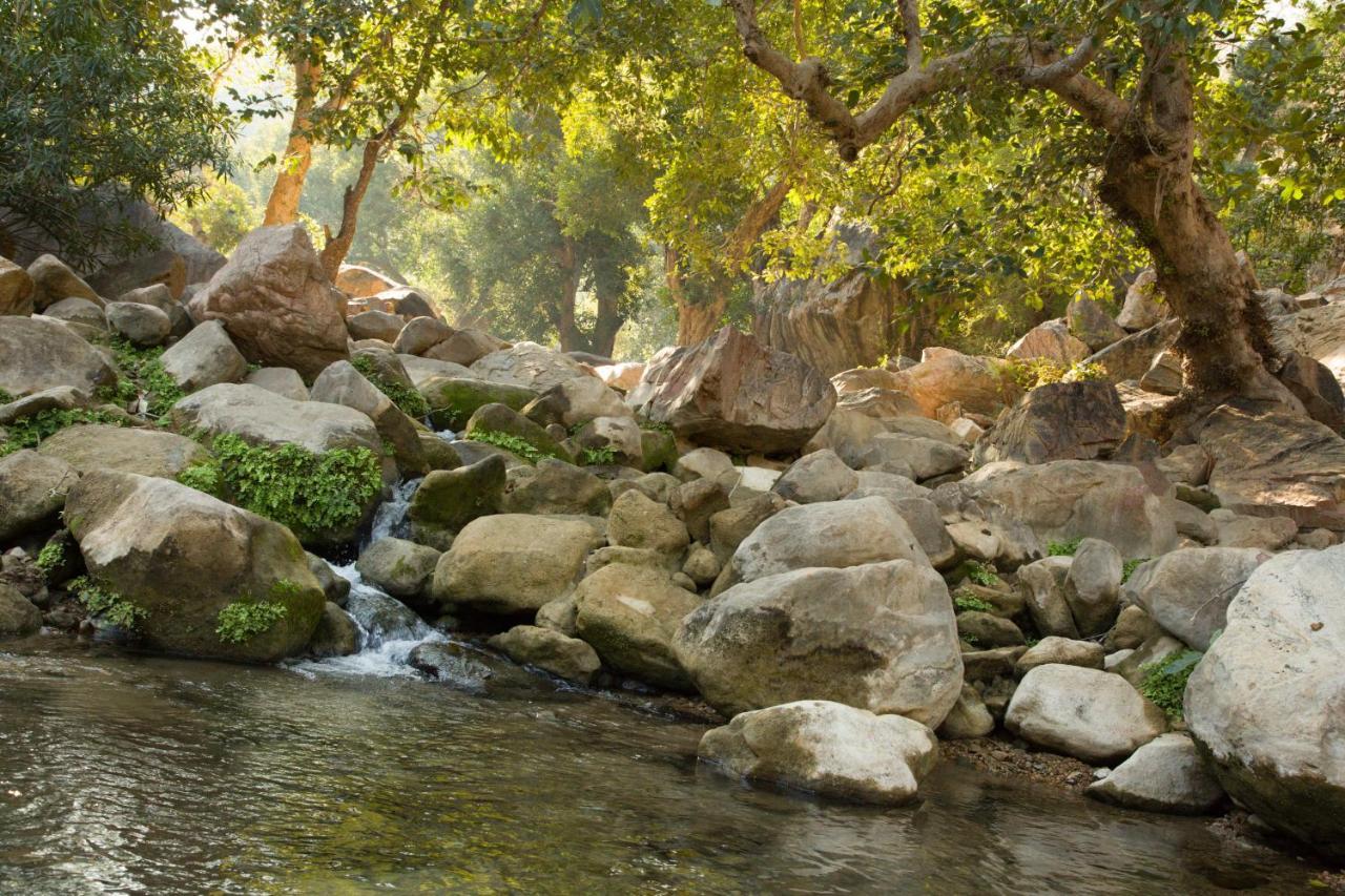 Bijapur Lodge Jawai Экстерьер фото