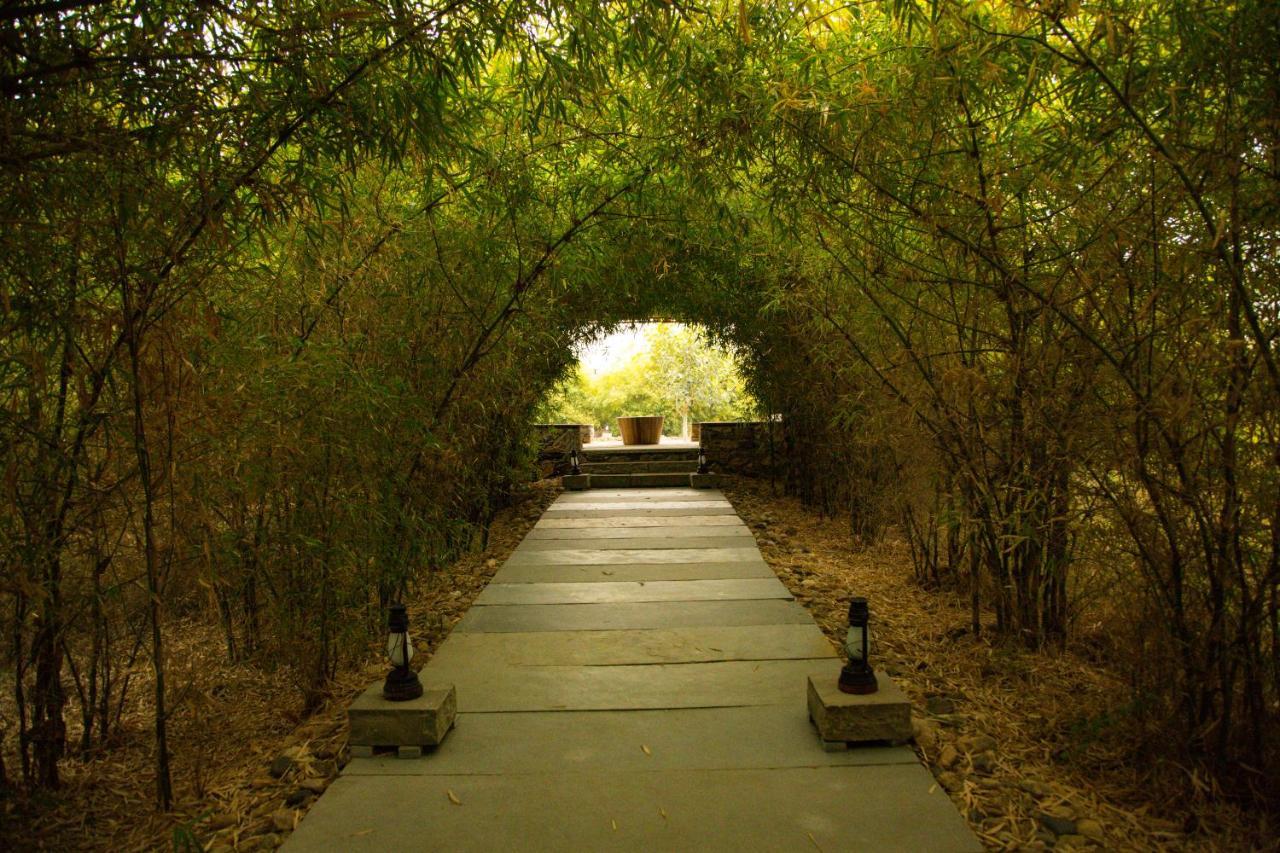 Bijapur Lodge Jawai Экстерьер фото